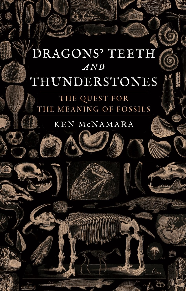 Book Review Dragons’ Teeth and Thunderstones The Quest for the